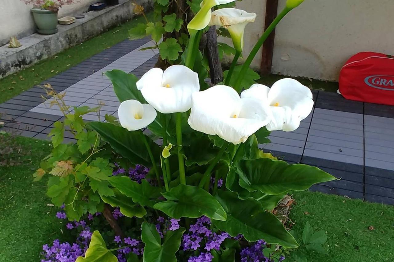 הוילה Hermanville-sur-Mer Great Family House, 80 M To The Sea, In Normandie מראה חיצוני תמונה